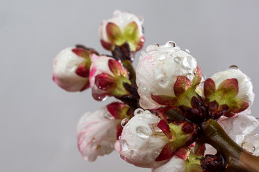 Similar image 2851535