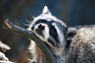 Similar image 2851587