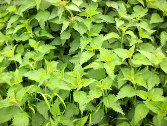 Similar image 2851683