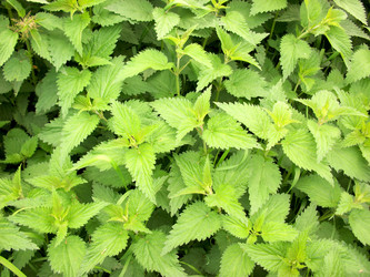 Similar image 2851684