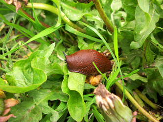 Similar image 2851685