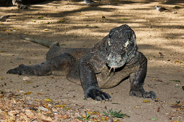 Similar image 2851695