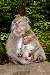 Similar image 2851696