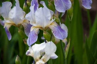 Similar image 2851924