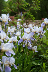 Similar image 2851929