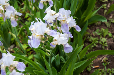 Similar image 2851932