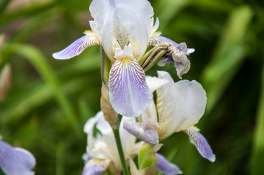 Similar image 2851931