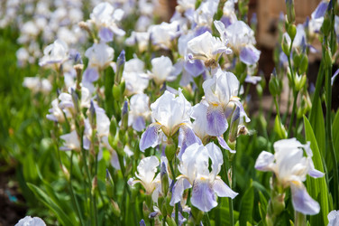 Similar image 2851933