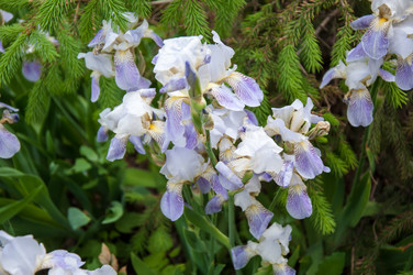 Similar image 2851935