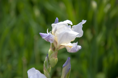 Similar image 2851936