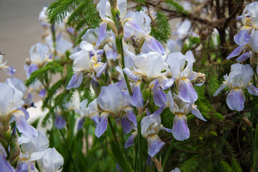 Similar image 2851939