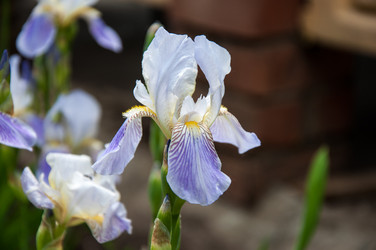 Similar image 2851938