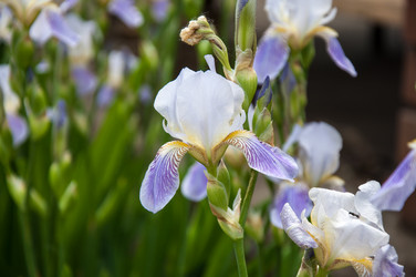 Similar image 2851940