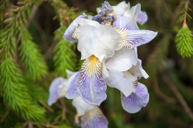 Similar image 2851941