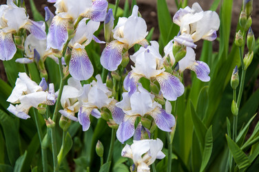 Similar image 2851942