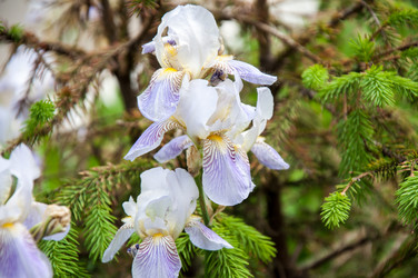 Similar image 2851943