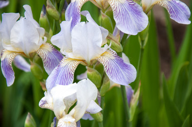 Similar image 2851944