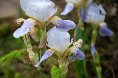 Similar image 2851946