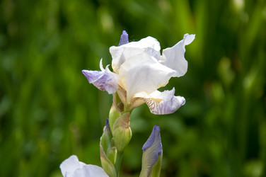 Similar image 2851945