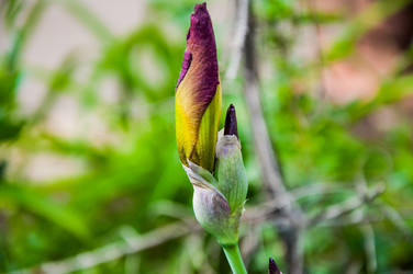 Similar image 2851947