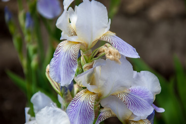 Similar image 2851948