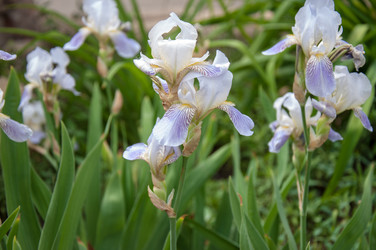 Similar image 2851949