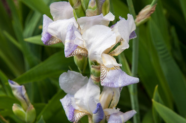 Similar image 2851950