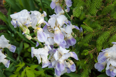 Similar image 2851952