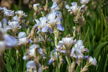 Similar image 2851953