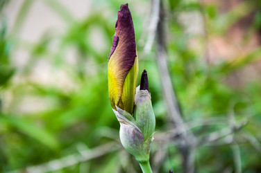 Similar image 2851954