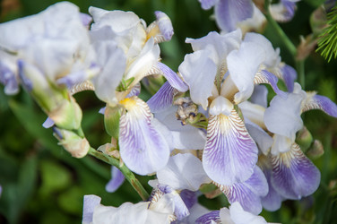 Similar image 2851956