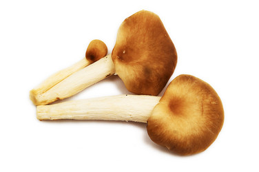 Similar image 2852283