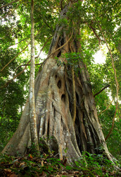 Similar image 2852307