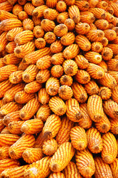 Similar image 2852318