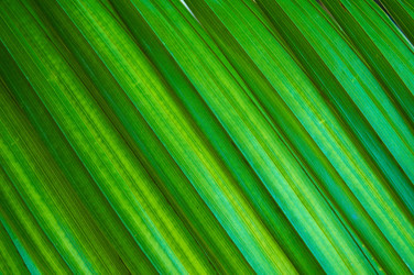 Similar image 2852331