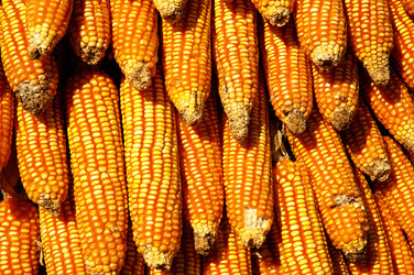 Similar image 2852335