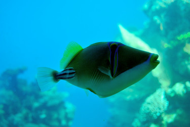 Similar image 2852357