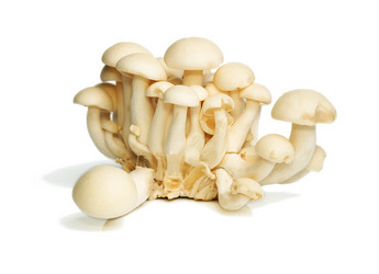 Similar image 2852364