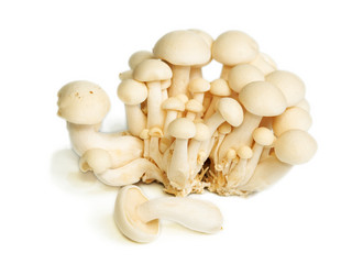 Similar image 2852410