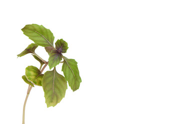 Similar image 2853052