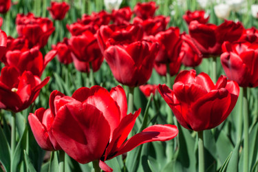 Similar image 2853082