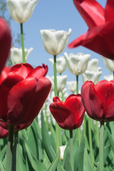 Similar image 2853093