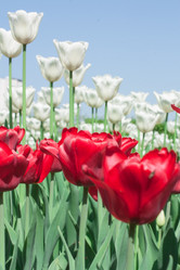 Similar image 2853097