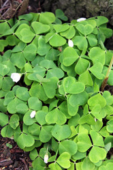 Similar image 2853098