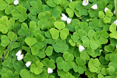 Similar image 2853100