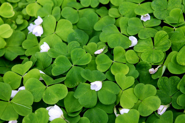 Similar image 2853102