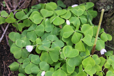 Similar image 2853103