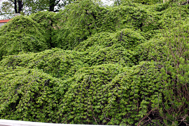 Similar image 2853104