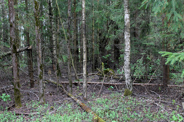 Similar image 2853106