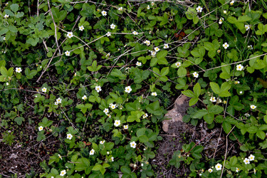 Similar image 2853109